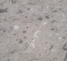 Color Piñon Obscuro